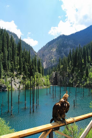 5 Nights 6 Days Almaty Package - Almaty, Kazakhstan holiday package